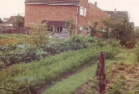 Garden at 55 Longdown 1982