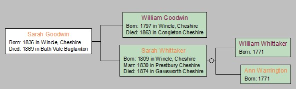 Goodwin Tree