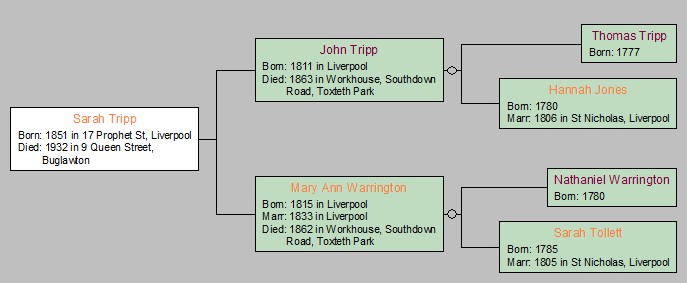 Tripp Tree