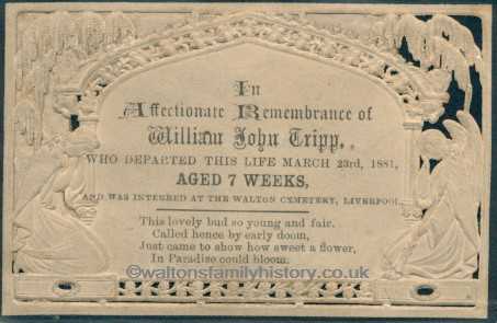 john tripp memorial card