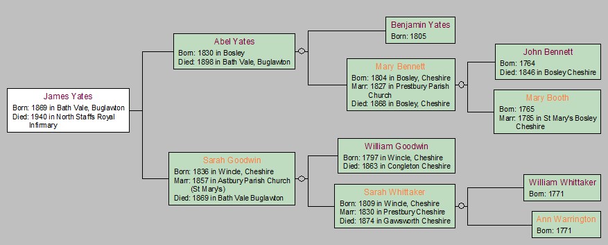 Yates Tree