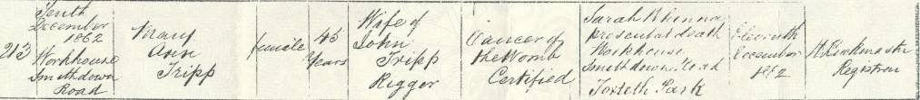 mary ann tripp death